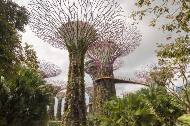 Singapur koyda dış bahçelerle