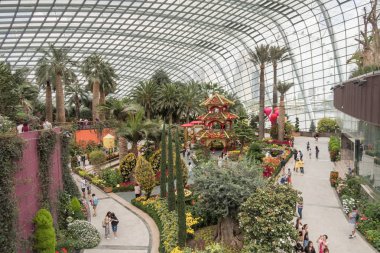 Bir sera içinde Gardens Singapur bay tarafından