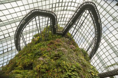 Bir sera içinde Gardens Singapur bay tarafından