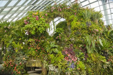 Bir sera içinde Gardens Singapur bay tarafından