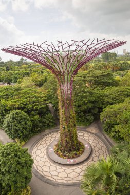 Singapur koyda dış bahçelerle