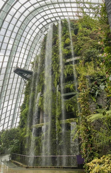 シンガポール湾による庭園で温室の中 — ストック写真