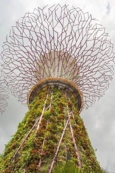 Jardines exteriores en la ciudad de Singapur — Foto de Stock