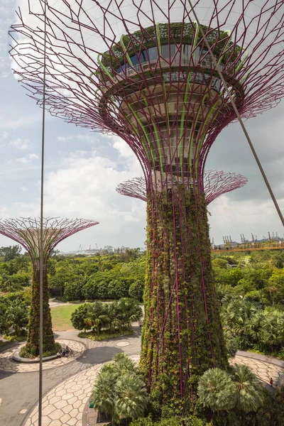 シンガポールの都市の外の庭園 — ストック写真