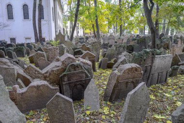 Çek Cumhuriyeti Prag Yahudi Mezarlığı