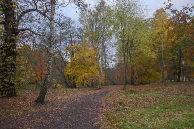 Virginia Water İngiltere'de sonbahar