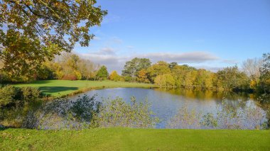 Sonbahar'İngiltere ' deki golf sahasında