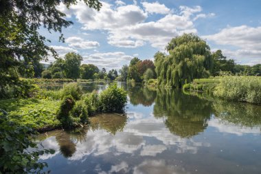 Yaz aylarında İngilizce kırsal bir göl