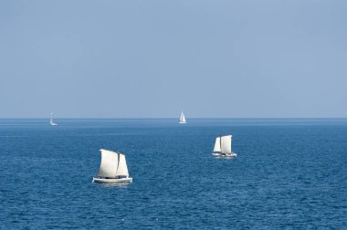 Varna Bulgaristan'ın Karadeniz üzerinde yelken yelkenli