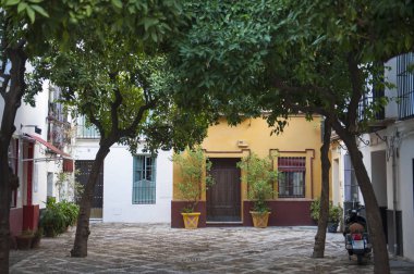 Sevilla, İspanya evleriyle sokak sokak
