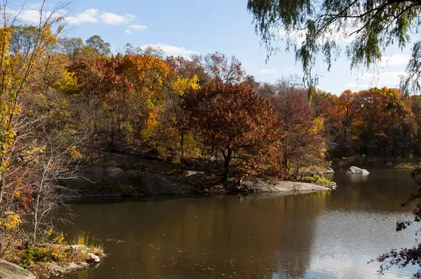 Herfst op Central Park, New York — Stockfoto