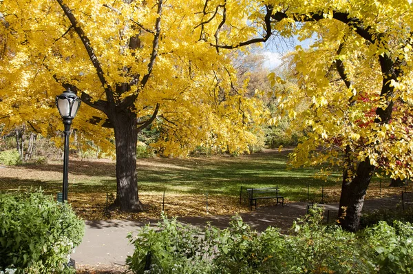 Lampadaire noir et arbres jaunes sur Central Park, New York — Photo