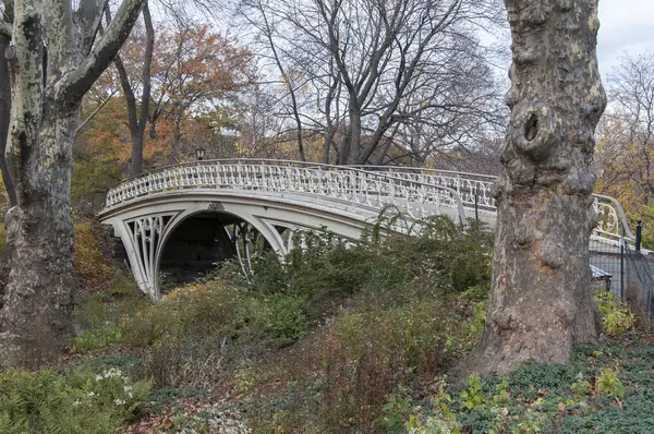 Pont piétonnier sur Central Park, New York — Photo