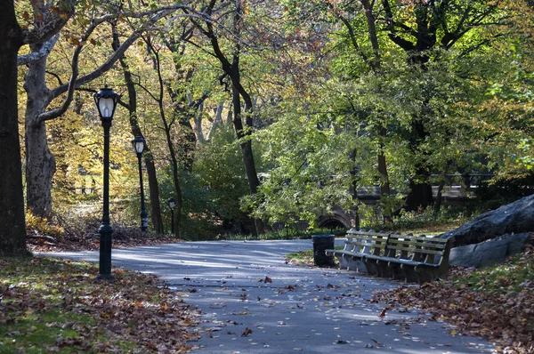 Осінь на центральному парку, Нью-Йорк — стокове фото