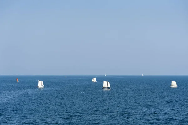 Varna Bulgaristan'ın Karadeniz üzerinde yelken yelkenli