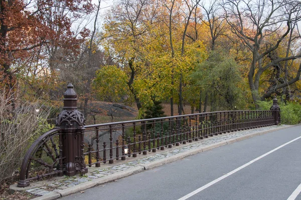 Pont pavé à Central Park, New York — Photo