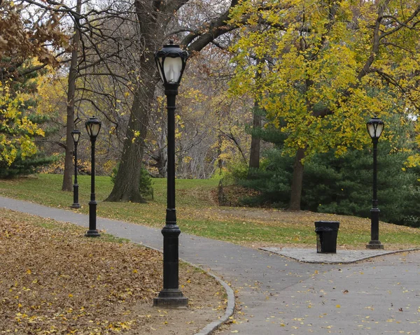 Des lampadaires noirs et des feuilles tombées sur Central Park, New York — Photo