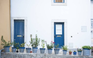 Evin kapı ve çiçekler Lizbon, Portekiz