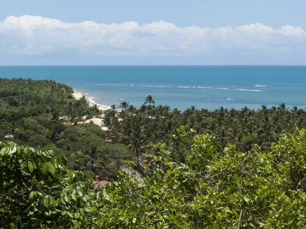 Vista de praia e vegetação de alto ângulo — Fotografia de Stock