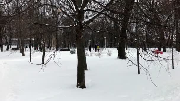 Parco pubblico sulla collina di Volodymyr con neve — Video Stock