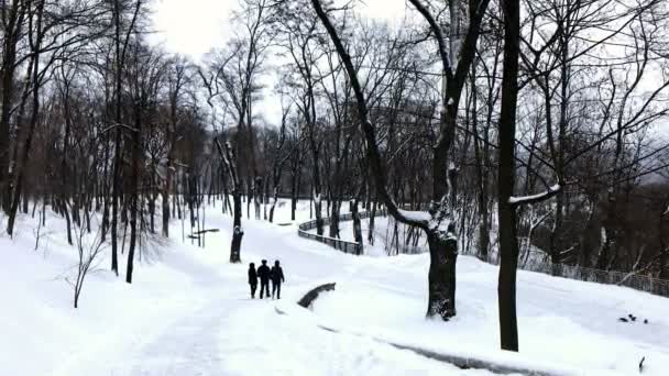 Persone che scendono le scale sulla collina di Volodymyr con neve — Video Stock