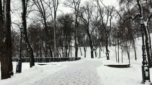 Persona descendiendo escaleras en Volodymyr Hill con nieve — Vídeo de stock