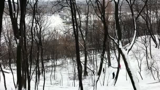 Άνθρωποι που κατεβαίνει σκάλες Volodymyr στο λόφο με το χιόνι — Αρχείο Βίντεο