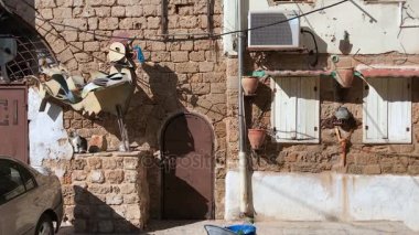 Sokak Akko veya Acre, İsrail