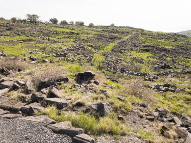 İncil'deki şehir Korazim İsrail'in Arkeolojik Sit