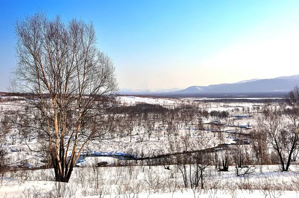 Fundo de inverno, paisagem . — Fotografia de Stock