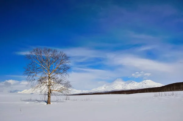 Paysage hivernal en Russie — Photo