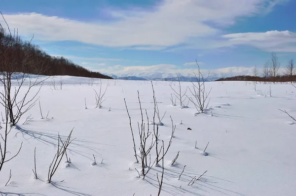 Paisagem de inverno com neve — Fotografia de Stock