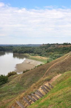 Orman vahşi nehir manzara