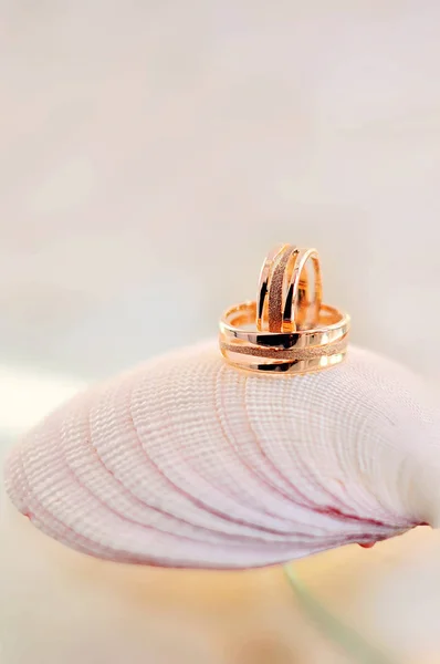 Detail svatební prsteny — Stock fotografie