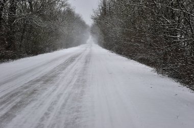 Altın ve beyaz balonlar