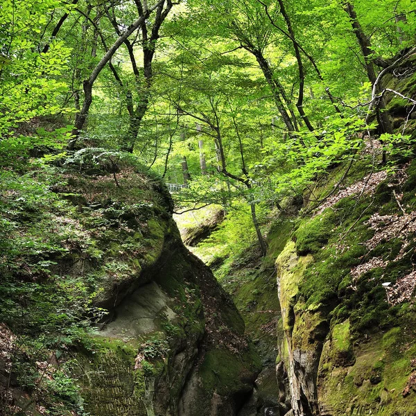 绿色景观的岩石上 — 图库照片