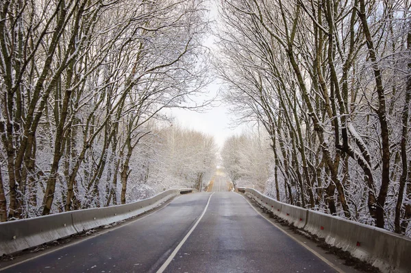 Scenic winter road through icy forest