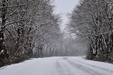 Kış yolu karla kaplı.