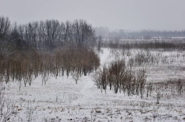 Kış güzel peyzaj ağaçları ile kaplı