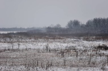 Kış güzel peyzaj ağaçları ile kaplı