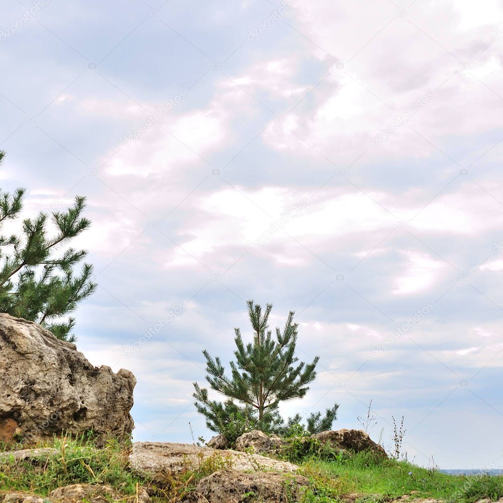 Sunny day in the landscape with rocks