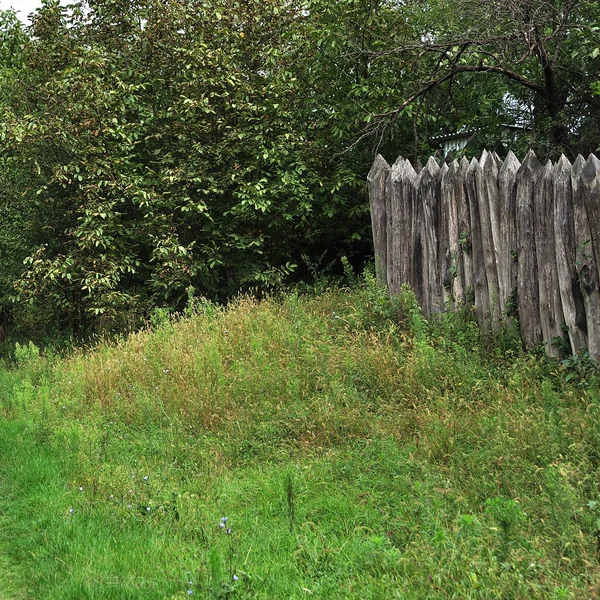 Summer view of green landscape — Stock Photo, Image