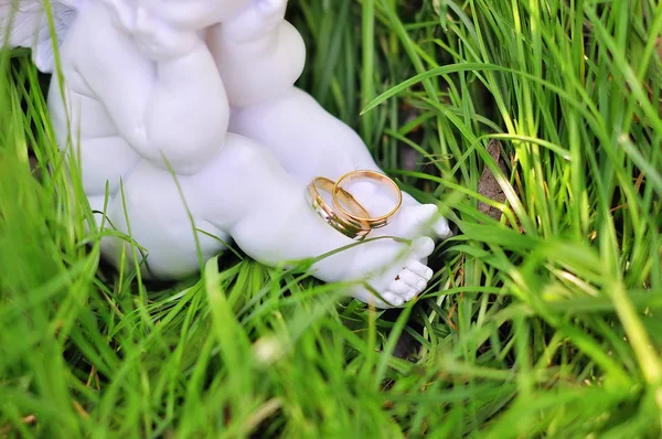 Dos anillos de bodas de oro — Foto de Stock