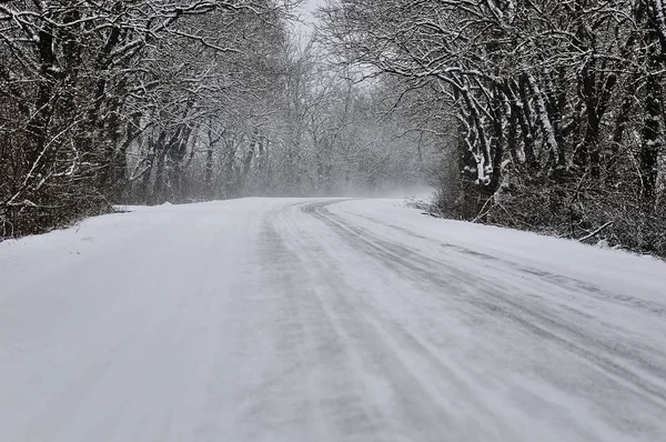 Karlı sabah sokakta