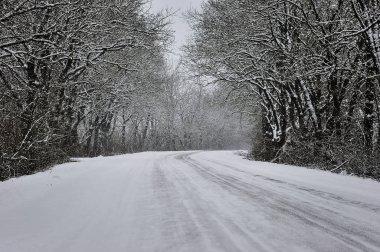 Güzel kış manzarası