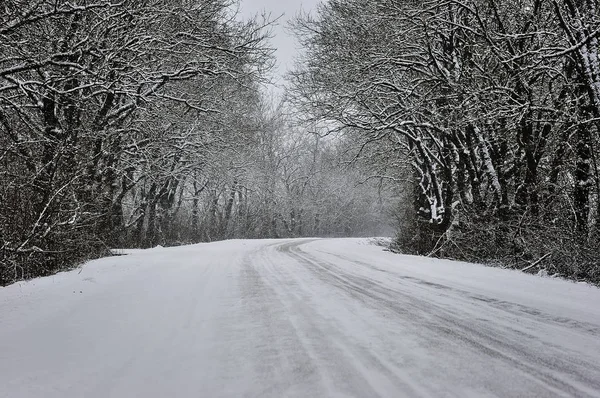 Güzel kış manzarası