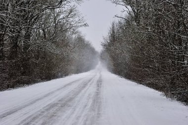 Güzel kış manzarası