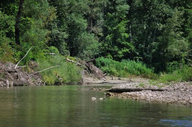 Bir nehir manzarası