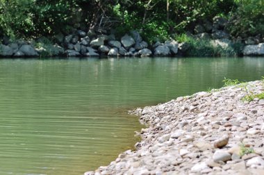 Güneşli bir günde yaz manzarası.