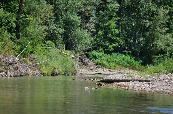 Güneşli bir günde yaz manzarası.